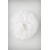 Pompon Blanc
